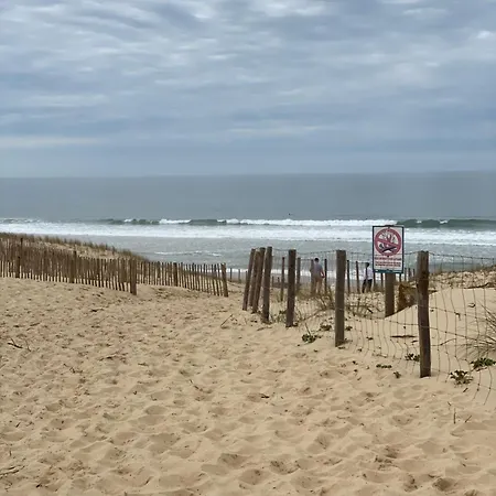 La Des Pins Lège-Cap-Ferret