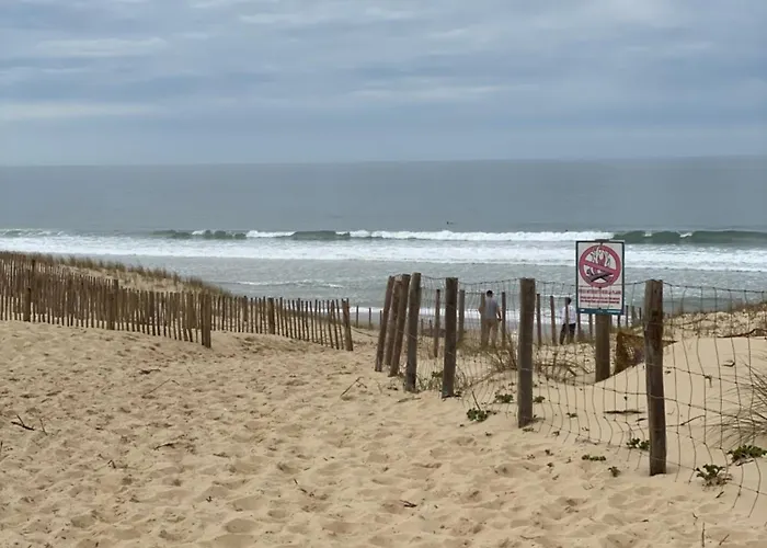 La Des Pins Lège-Cap-Ferret